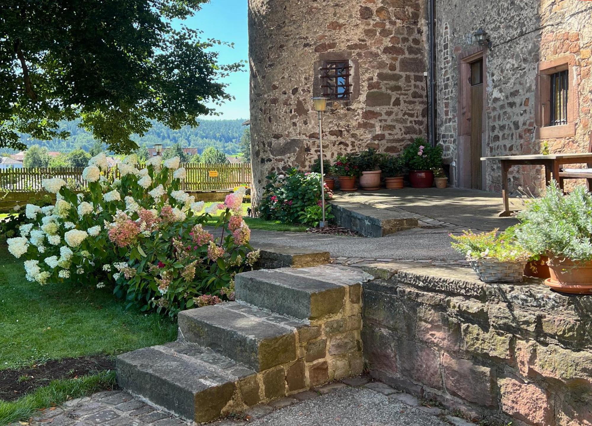 Alte Foersterei - Elegantes Apartment In Der Historischen Hinterburg Schlitz - Nahe Fulda Und Bad Hersfeld المظهر الخارجي الصورة